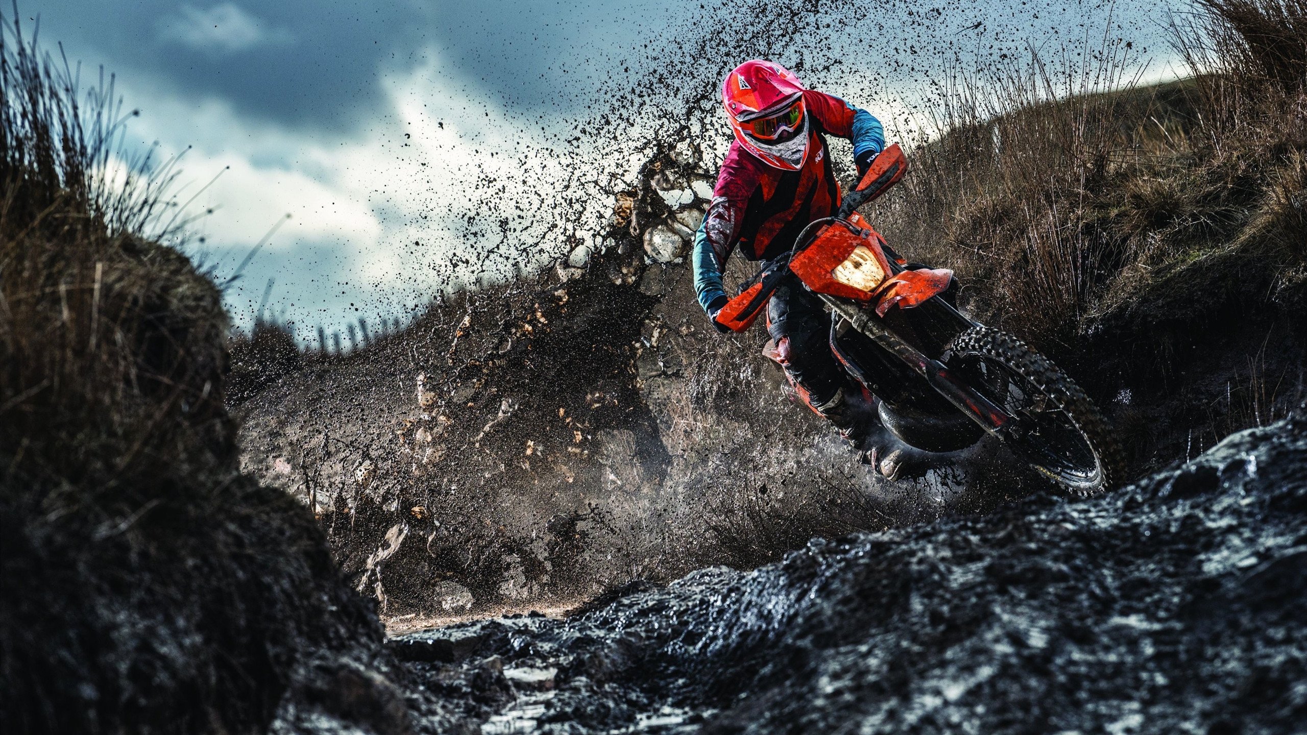 技术雷达图显示动作标准化趋势，雷达图像目标识别